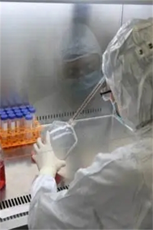 深光标准技术|医疗器械美容产品的细胞毒性测试简单介绍